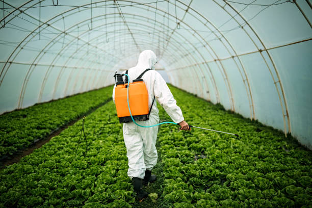 Best Mosquito Control Services  in Pineville, KY