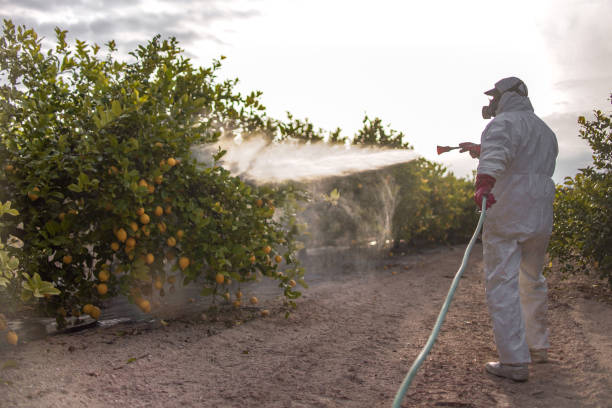 Best Affordable Pest Control Services  in Pineville, KY