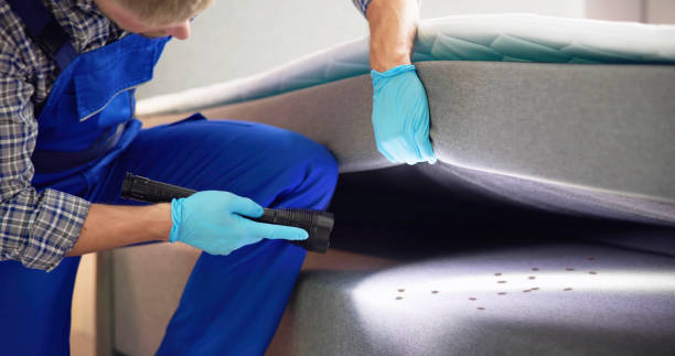 Best Residential Pest Control  in Pineville, KY